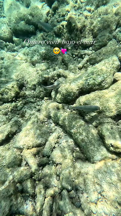 shunli__mei shunli__mei archive video