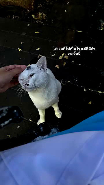 oqr0_ oqr0_ archive video