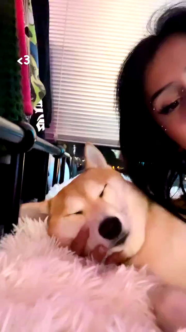 zommmbri archive video preview