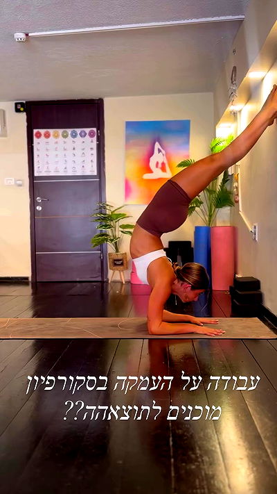 liad.arazi liad.arazi archive video