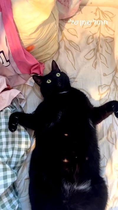 hellokittyangel666 hellokittyangel666 archive video