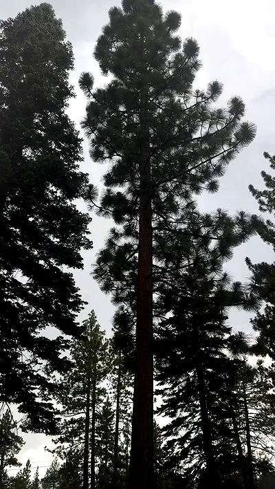 sweetmuffinnss sweetmuffinnss archive video