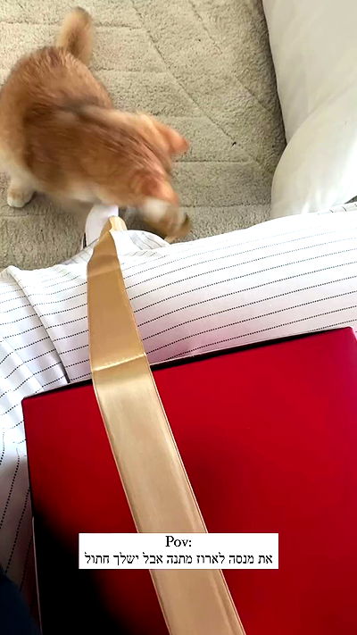 itsilanosh itsilanosh archive video