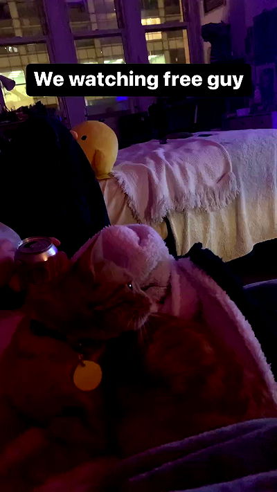 winbun.io winbun.io archive video