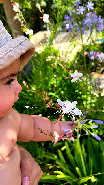 rebecka_tsadok rebecka_tsadok archive video