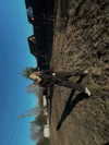 alexaa.soul.official Altpins Profile Picture