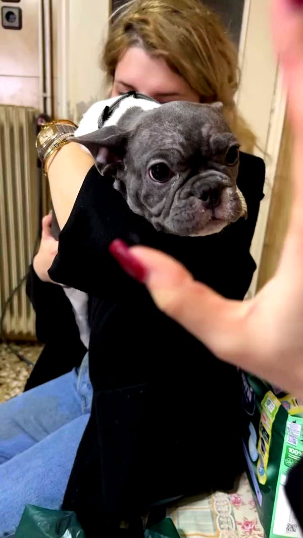 danaikontodiou archive video preview