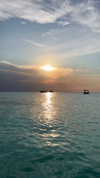 noa_mendel_ Altpins Profile Picture