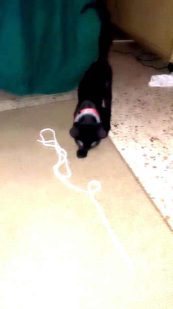 feelbetterinmysweater archive video preview