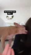 1kyle8_ Altpins Profile Picture