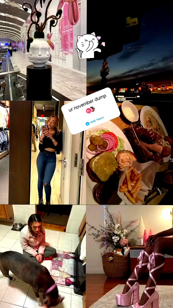 v.qx archive video preview