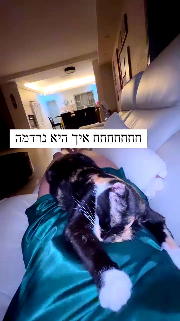 itsilanosh archive video preview