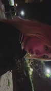 avitallllllll Altpins Profile Picture