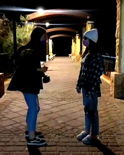 tuliprivet tuliprivet archive video