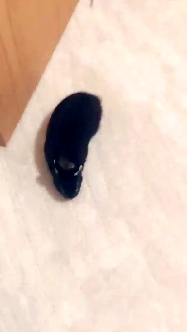 emiru.jpg archive video preview