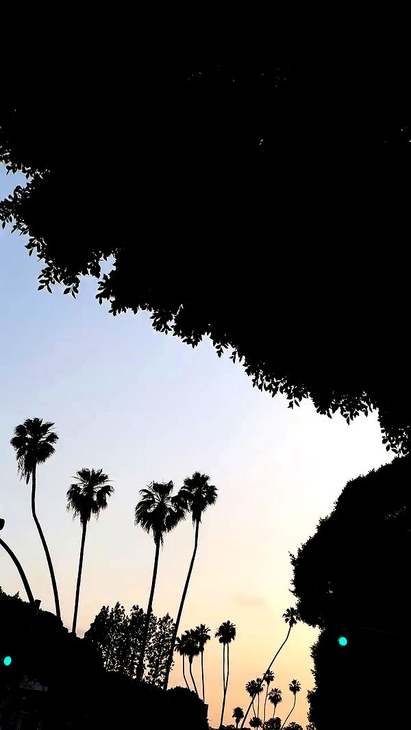 payton.r archive video preview