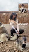 astarwbry_ Altpins Profile Picture