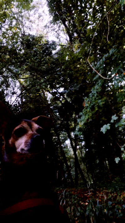 aekamee aekamee archive video