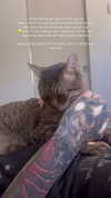 karin_orhov Altpins Profile Picture