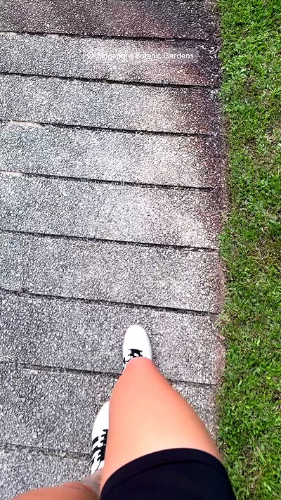 kesemgreenyer kesemgreenyer archive video