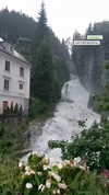 maria_gurevich_ Altpins Profile Picture