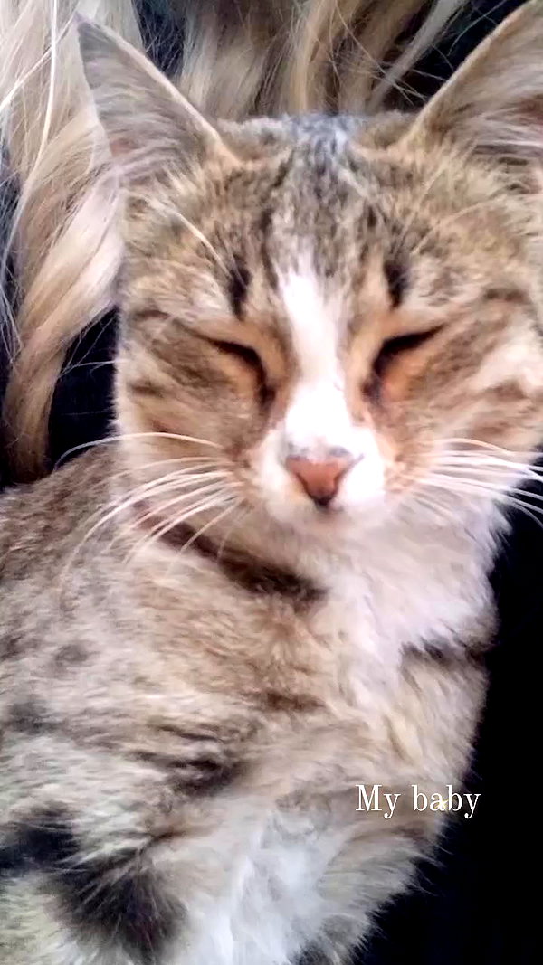 imeownaz archive video preview