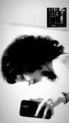 blackivy.xx Altpins Profile Picture