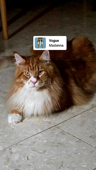 avital_1010.2003 avital_1010.2003 archive video