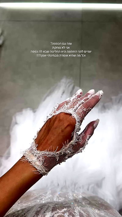 roni.benshushan roni.benshushan archive video