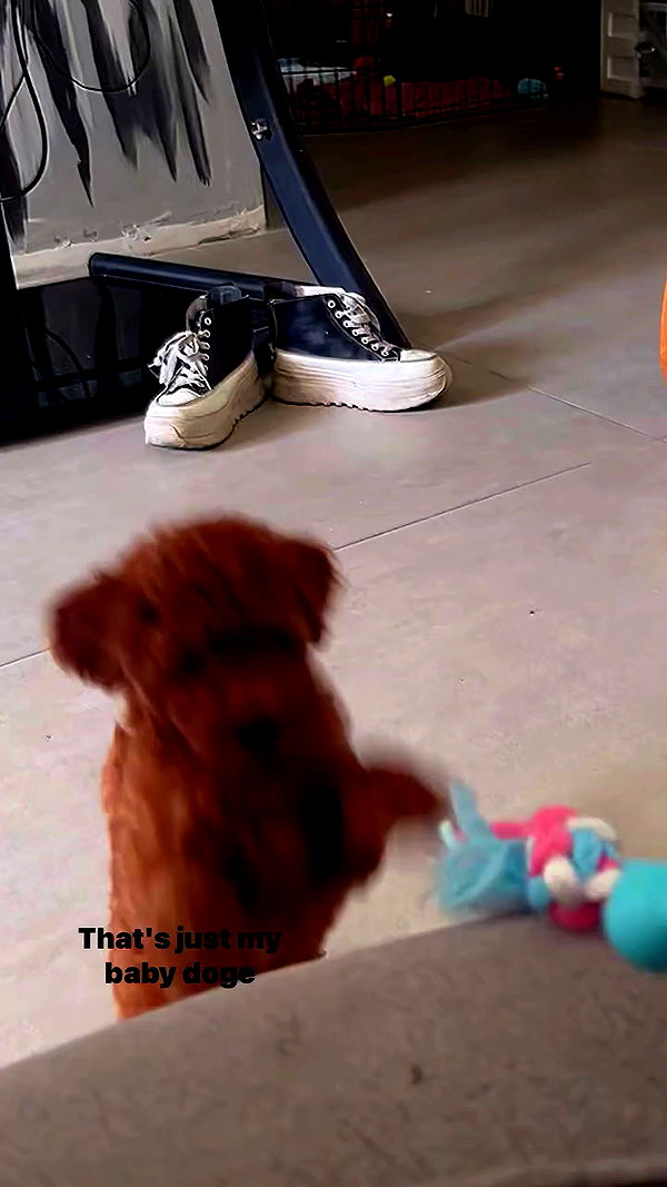 agam._.harel archive video preview