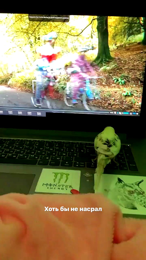 annfigma archive video preview