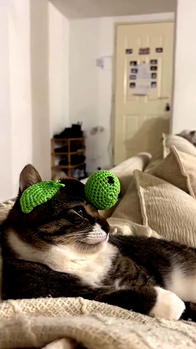 laluzone laluzone archive video