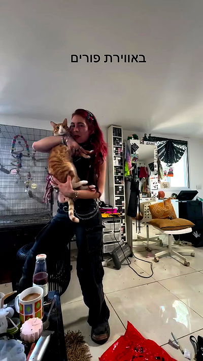 romy_ayalla_lavi romy_ayalla_lavi archive video