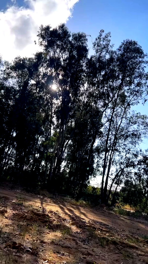 canabaputgir archive video preview