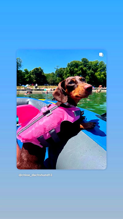 _._dianush._ _._dianush._ archive video