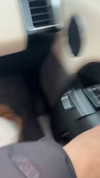 railey.tv Altpins Profile Picture