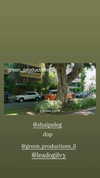 shaipeleg Altpins Profile Picture