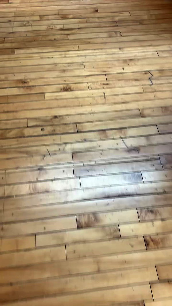 itzjusttavia.xx archive video preview