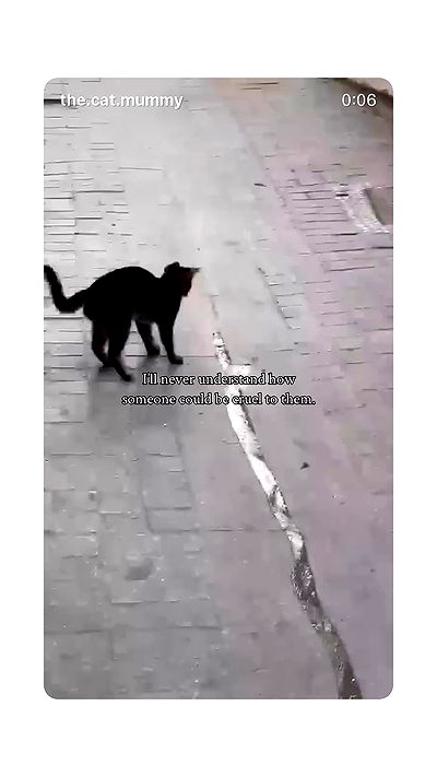 littlelital_ littlelital_ archive video