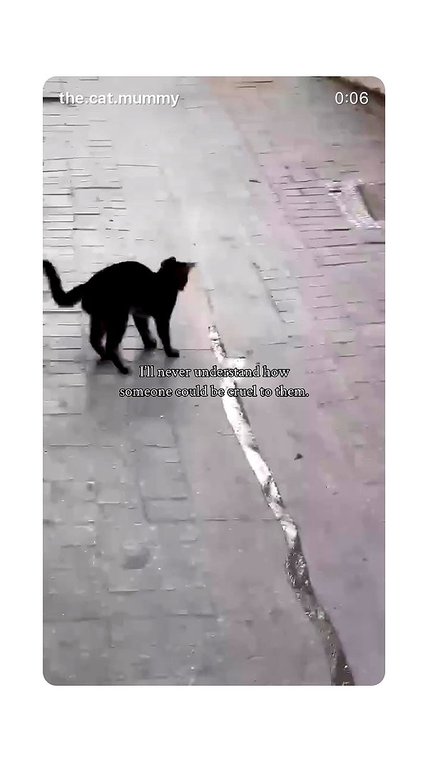 littlelital_ archive video preview