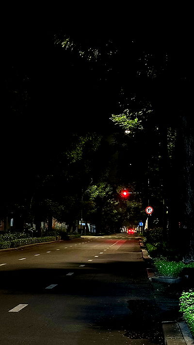 linnnh__h linnnh__h archive video