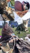 heathergrace67 Altpins Profile Picture