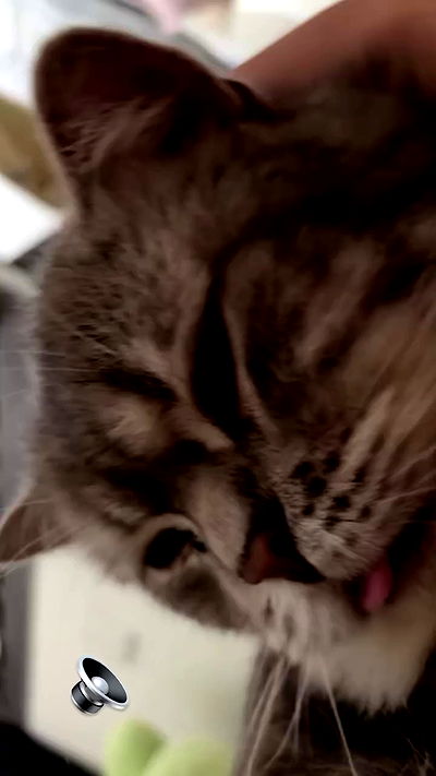 natalllluli natalllluli archive video