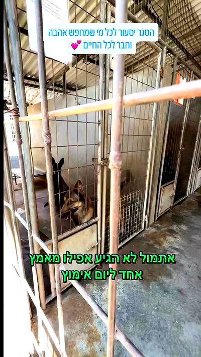 feelbetterinmysweater feelbetterinmysweater archive video