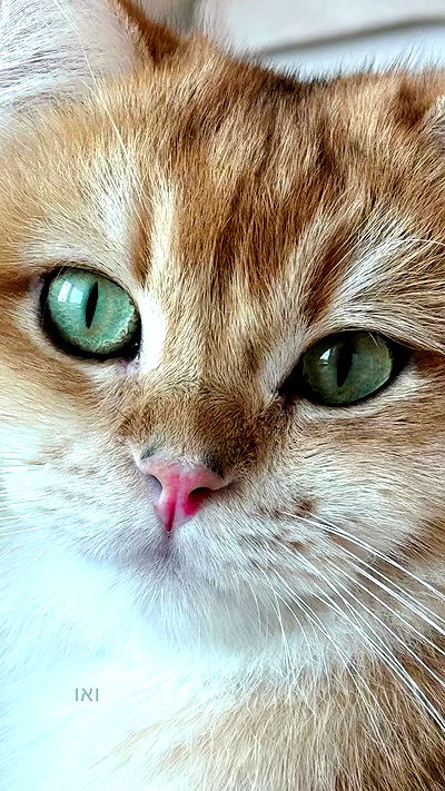 itsilanosh itsilanosh archive video