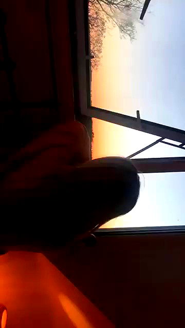 zaperwave archive video preview