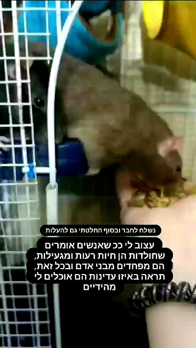 moonyyyya moonyyyya archive video