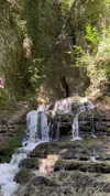 adel__s_ Altpins Profile Picture