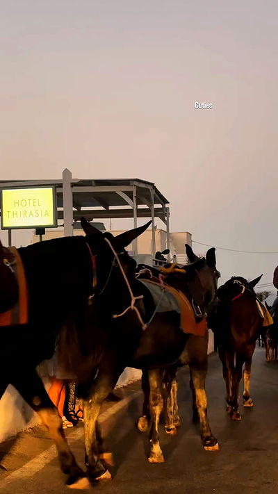 noammalka___ noammalka___ archive video