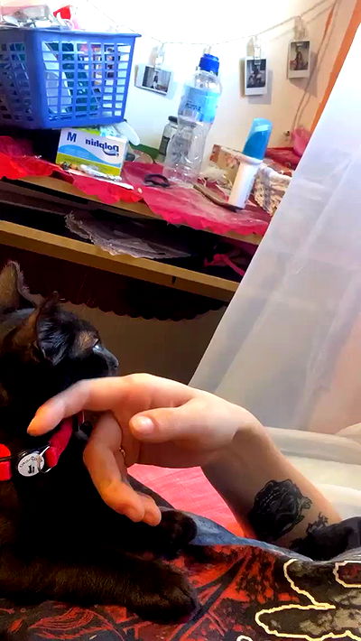 feelbetterinmysweater feelbetterinmysweater archive video